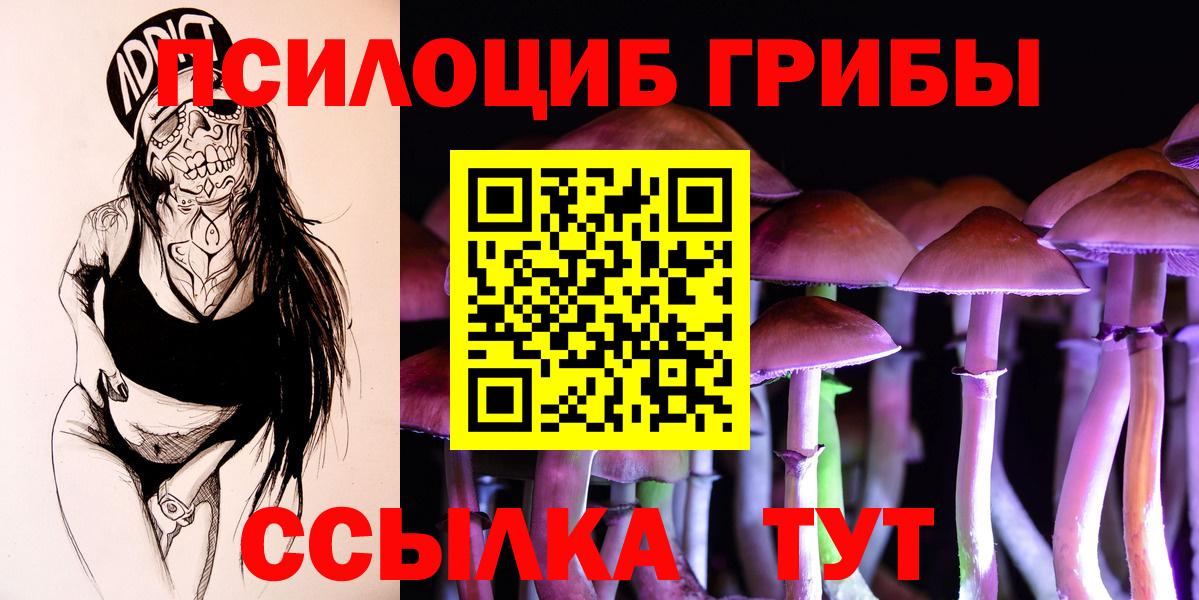 закладки  Вход с VPN  Реж  Псилоцибиновые грибы Psilocybe 